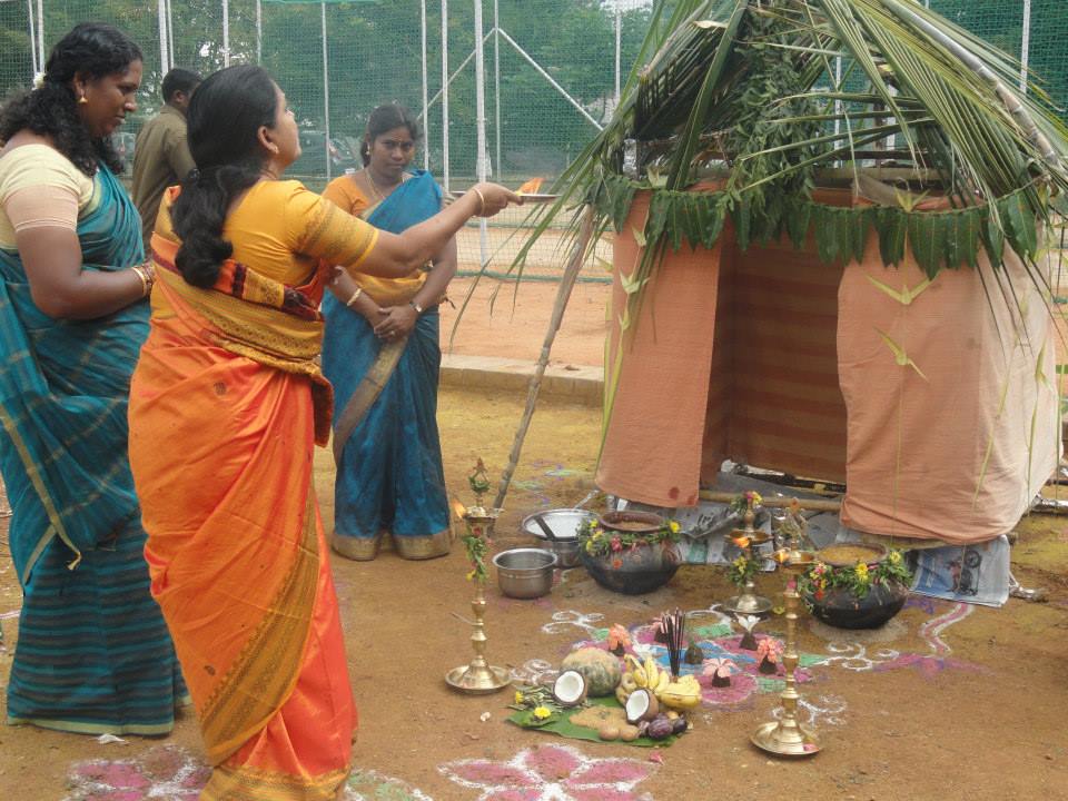 Image result for pongal pooja